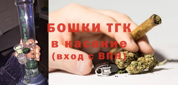 apvp Алзамай