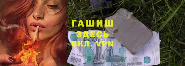 apvp Алзамай